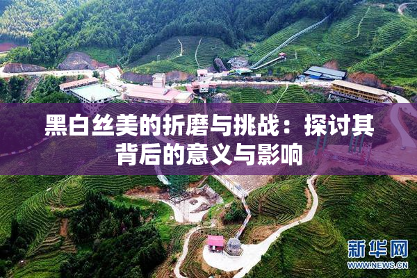 黑白丝美的折磨与挑战：探讨其背后的意义与影响