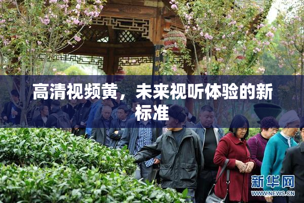高清视频黄，未来视听体验的新标准