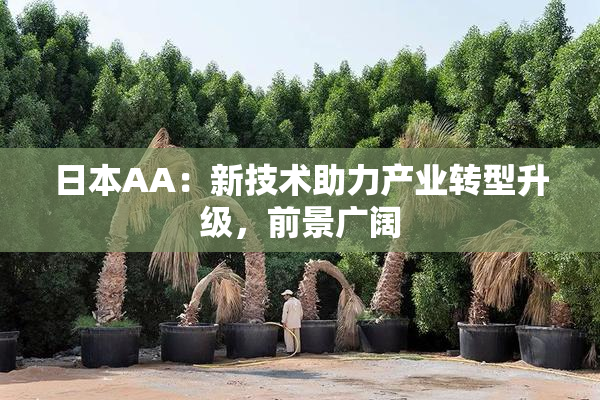 日本AA：新技术助力产业转型升级，前景广阔