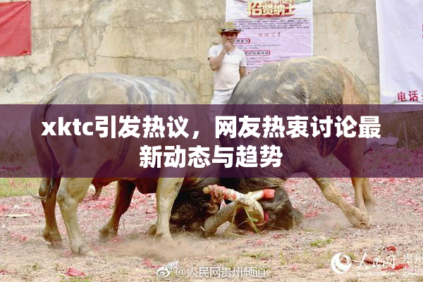 xktc引发热议，网友热衷讨论最新动态与趋势