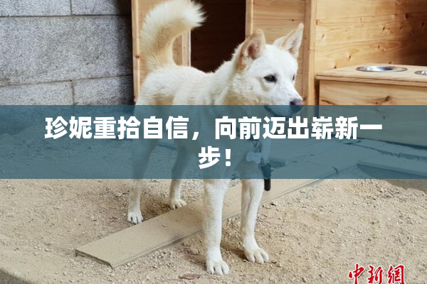 珍妮重拾自信，向前迈出崭新一步！