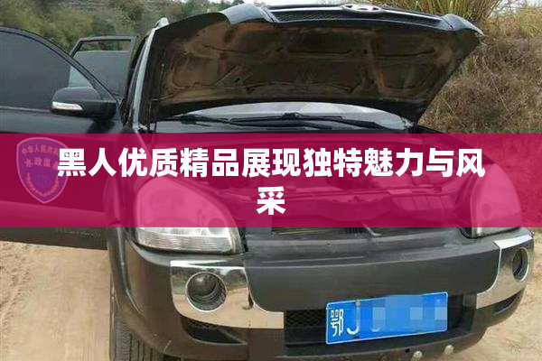 黑人优质精品展现独特魅力与风采
