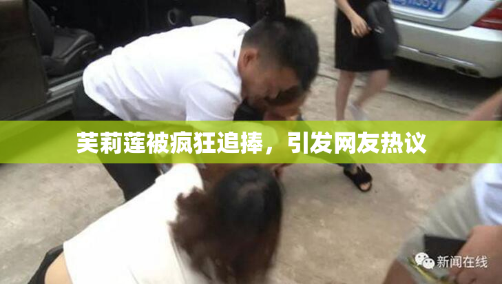芙莉莲被疯狂追捧，引发网友热议
