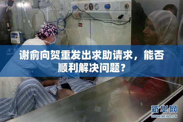 谢俞向贺重发出求助请求，能否顺利解决问题？