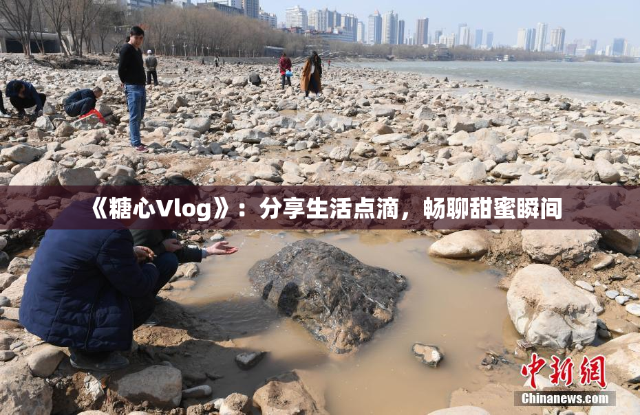 《糖心Vlog》：分享生活点滴，畅聊甜蜜瞬间