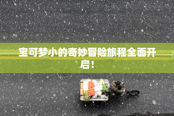 宝可梦小的奇妙冒险旅程全面开启！