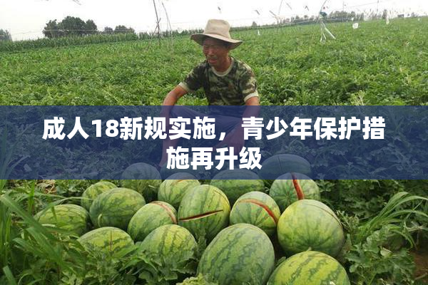 成人18新规实施，青少年保护措施再升级
