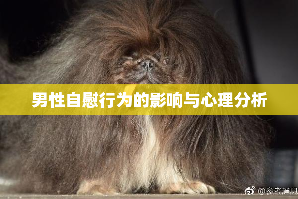 男性自慰行为的影响与心理分析