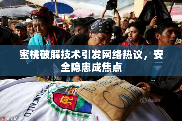 蜜桃破解技术引发网络热议，安全隐患成焦点