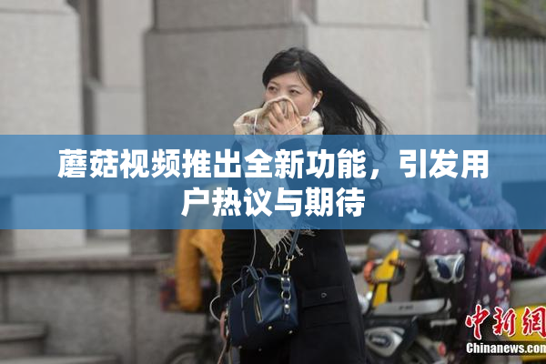 蘑菇视频推出全新功能，引发用户热议与期待