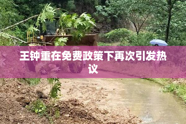 王钟重在免费政策下再次引发热议