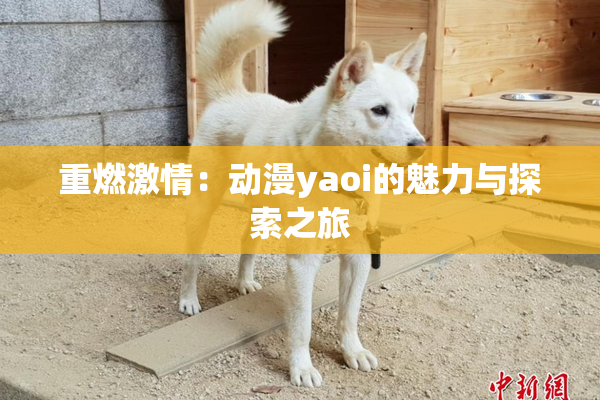 重燃激情：动漫yaoi的魅力与探索之旅