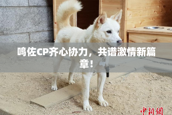 鸣佐CP齐心协力，共谱激情新篇章！
