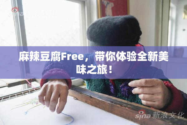 麻辣豆腐Free，带你体验全新美味之旅！