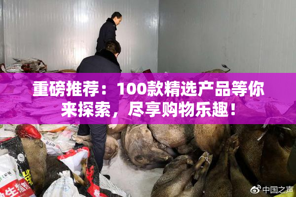 重磅推荐：100款精选产品等你来探索，尽享购物乐趣！