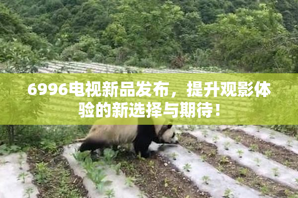 6996电视新品发布，提升观影体验的新选择与期待！