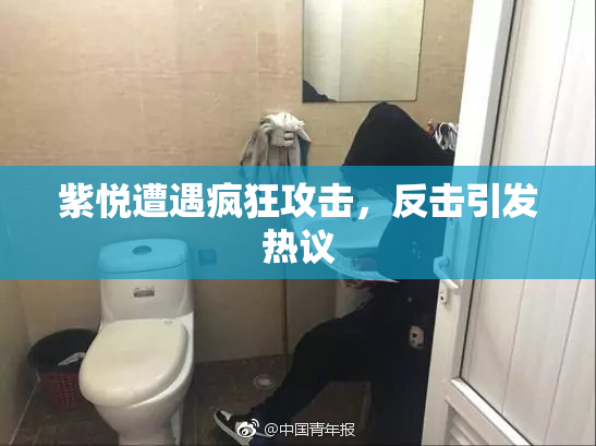 紫悦遭遇疯狂攻击，反击引发热议