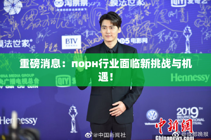重磅消息：порн行业面临新挑战与机遇！