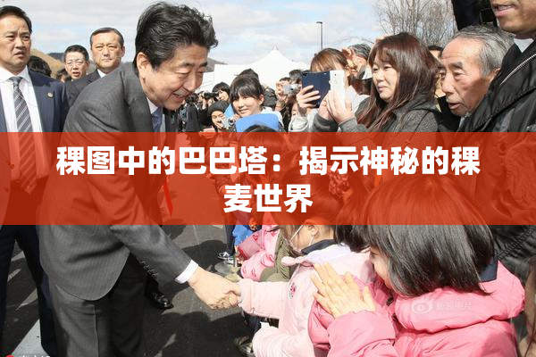 稞图中的巴巴塔：揭示神秘的稞麦世界
