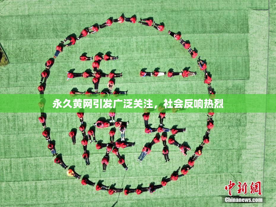 永久黄网引发广泛关注，社会反响热烈