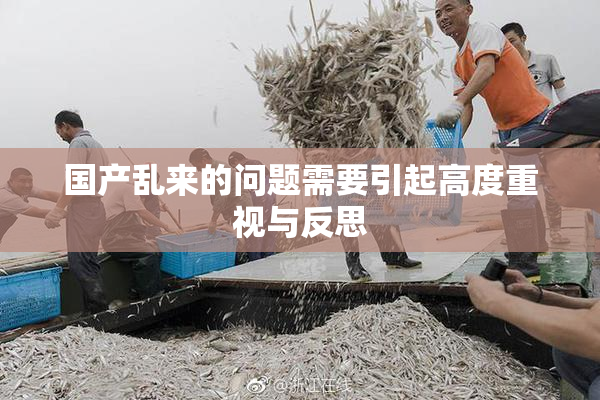 国产乱来的问题需要引起高度重视与反思