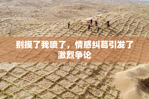 别摸了我喷了，情感纠葛引发了激烈争论