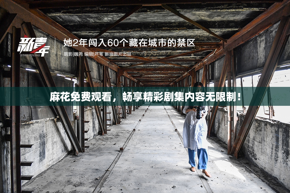 麻花免费观看，畅享精彩剧集内容无限制！