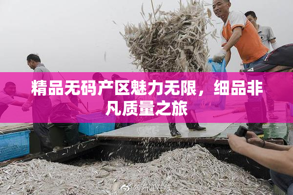 精品无码产区魅力无限，细品非凡质量之旅