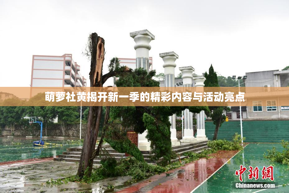 萌萝社黄揭开新一季的精彩内容与活动亮点