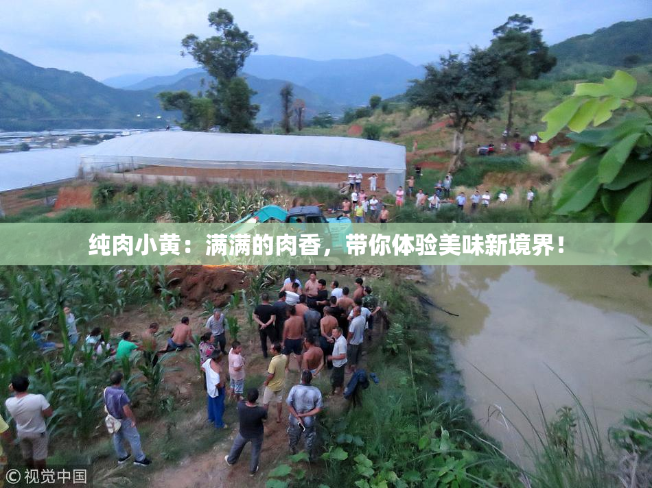 纯肉小黄：满满的肉香，带你体验美味新境界！