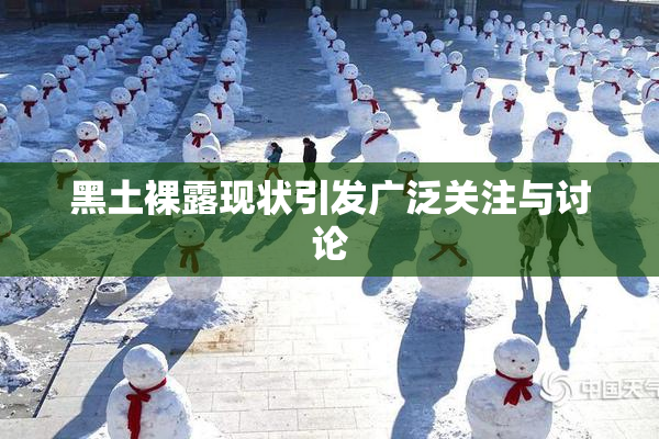 黑土裸露现状引发广泛关注与讨论