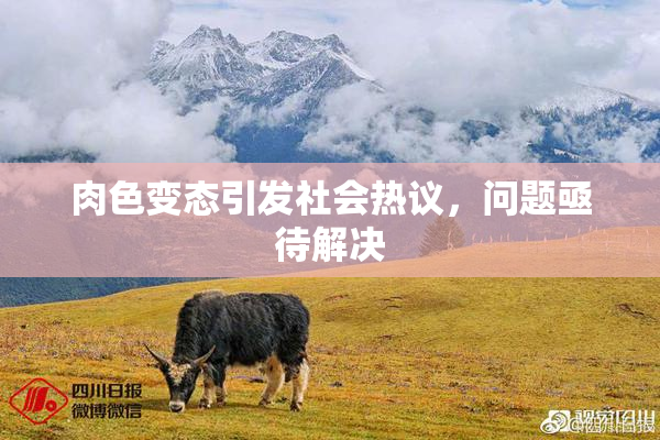 肉色变态引发社会热议，问题亟待解决
