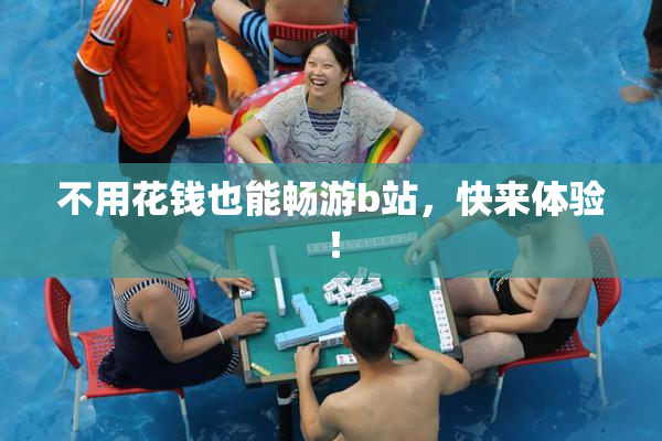 不用花钱也能畅游b站，快来体验！