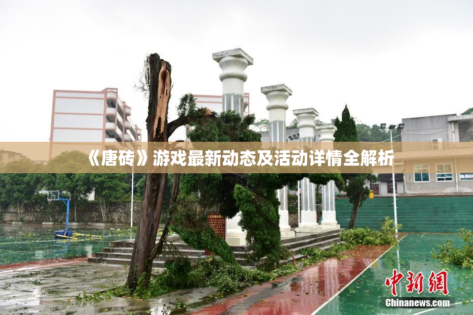 《唐砖》游戏最新动态及活动详情全解析