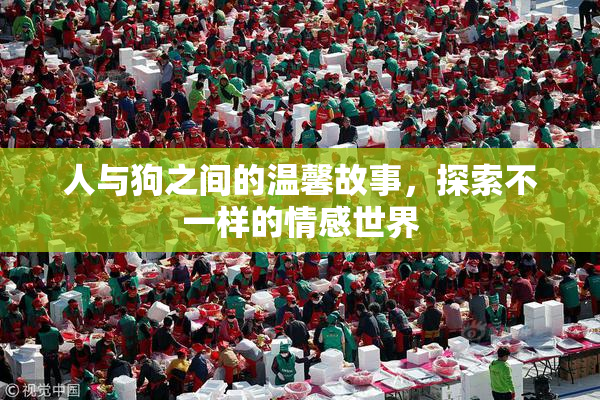 人与狗之间的温馨故事，探索不一样的情感世界