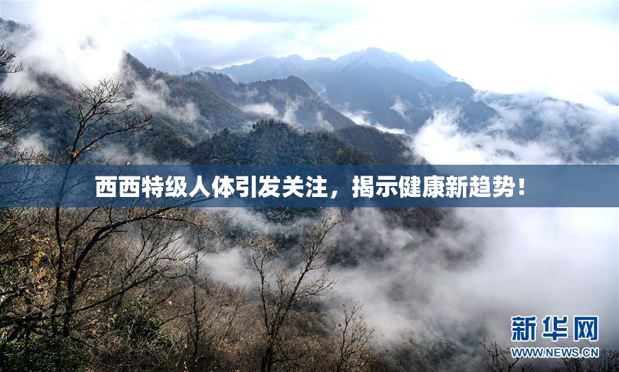 西西特级人体引发关注，揭示健康新趋势！