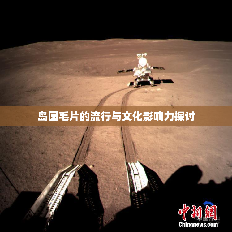 岛国毛片的流行与文化影响力探讨