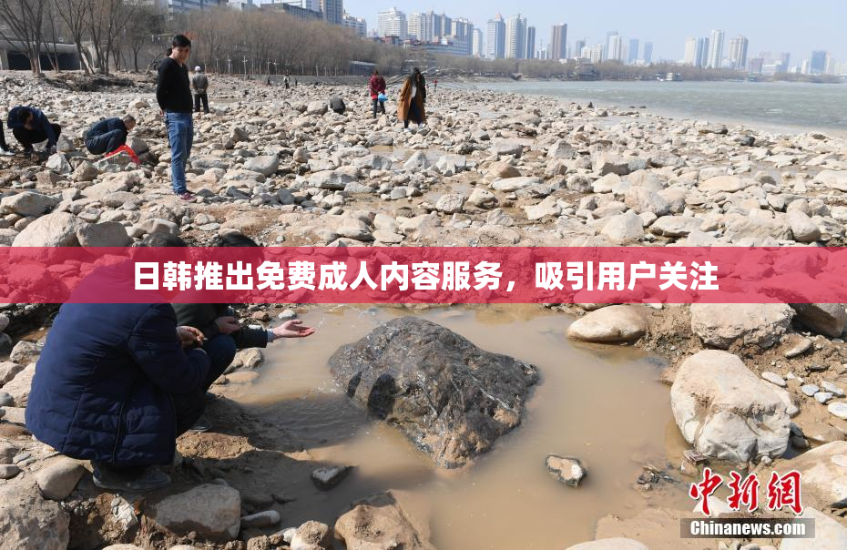 日韩推出免费成人内容服务，吸引用户关注