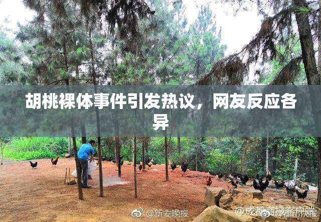 胡桃裸体事件引发热议，网友反应各异