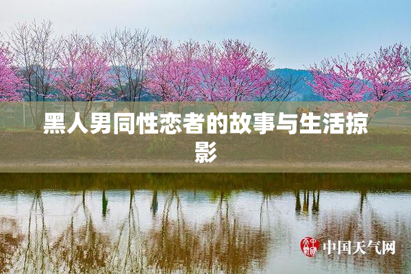 黑人男同性恋者的故事与生活掠影