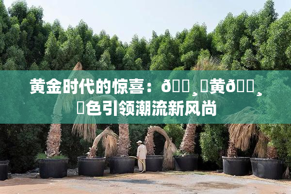 黄金时代的惊喜：🌸‌黄🌸‌色引领潮流新风尚