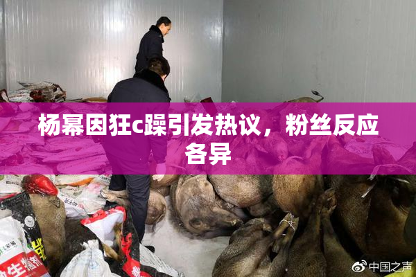 杨幂因狂c躁引发热议，粉丝反应各异