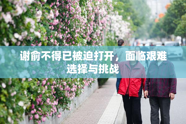 谢俞不得已被迫打开，面临艰难选择与挑战