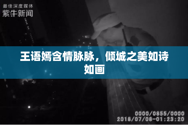 王语嫣含情脉脉，倾城之美如诗如画