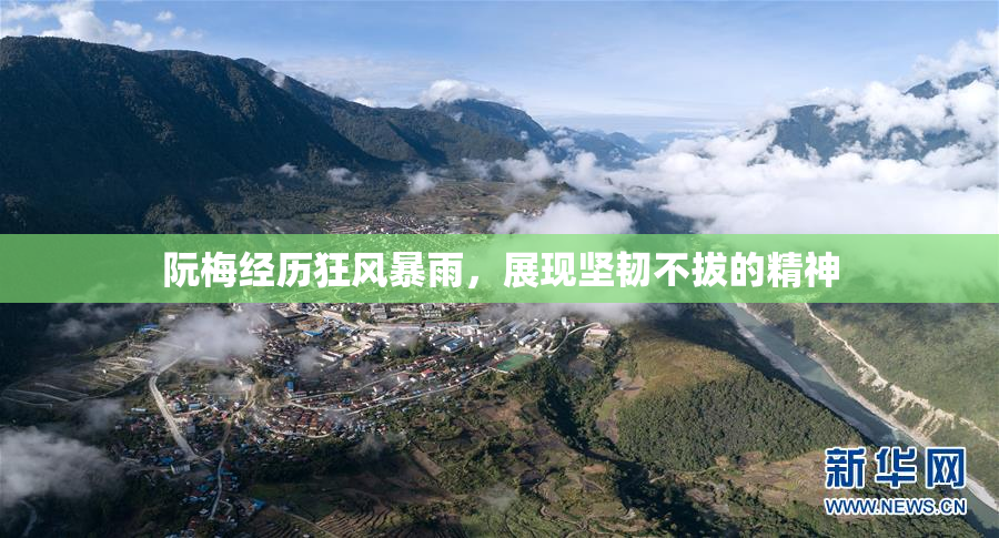 阮梅经历狂风暴雨，展现坚韧不拔的精神
