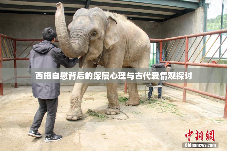 西施自慰背后的深层心理与古代爱情观探讨