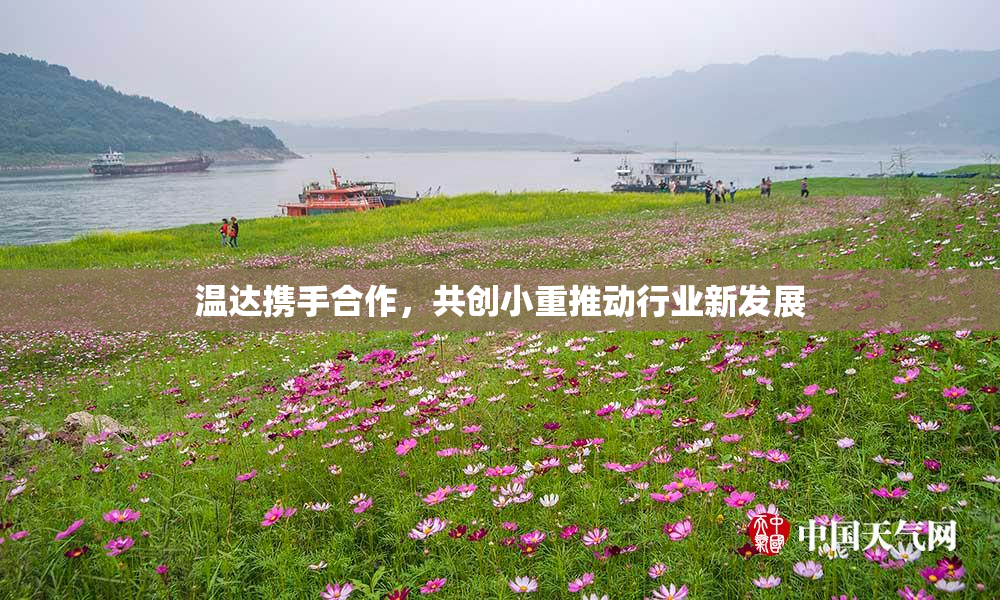 温达携手合作，共创小重推动行业新发展