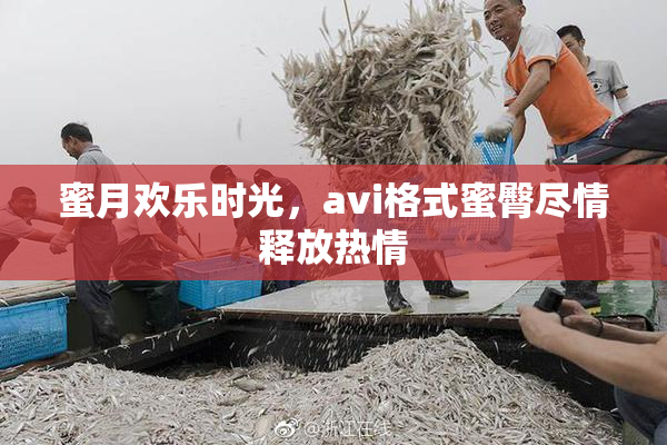 蜜月欢乐时光，avi格式蜜臀尽情释放热情