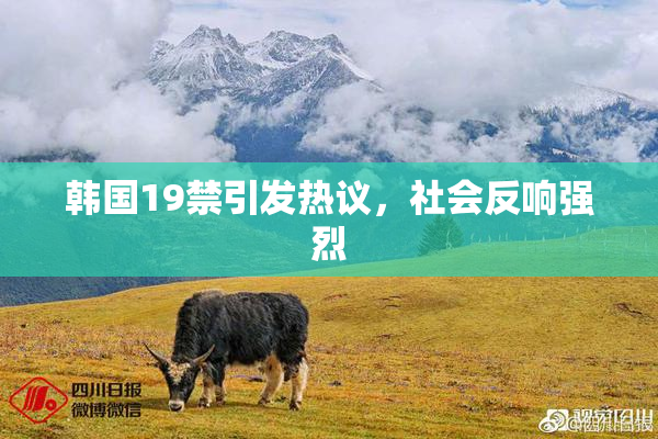 韩国19禁引发热议，社会反响强烈