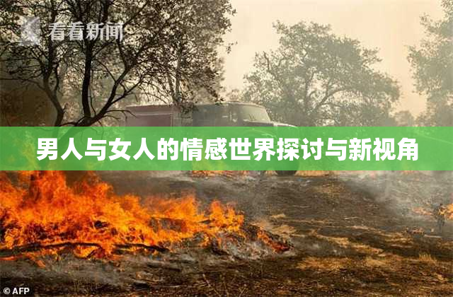 男人与女人的情感世界探讨与新视角